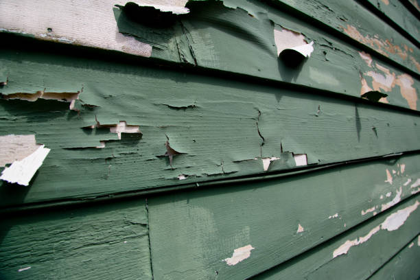 Property Management Cleanouts in Seven Points, TX